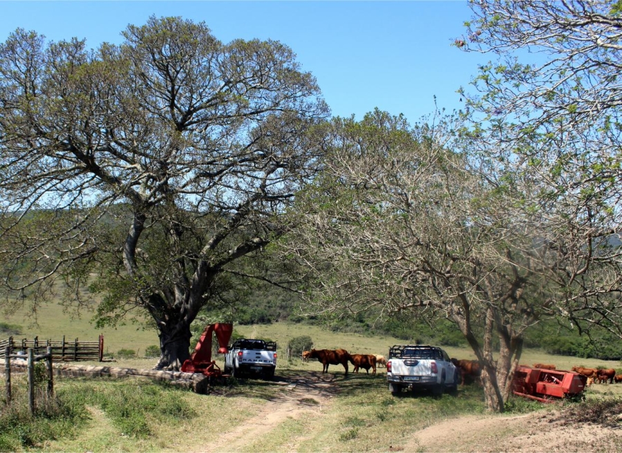 Commercial Property for Sale in Komga Rural Eastern Cape
